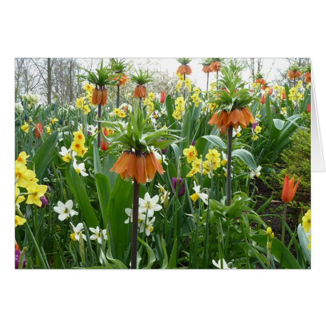 Fleurs de printemps amusantes - jaune et orange (Devant Horizontal)