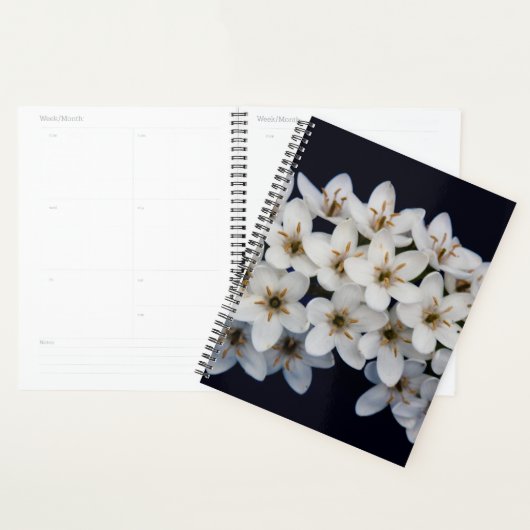 Fleurs de printemps blanches 2024 (Devant avec enveloppe)