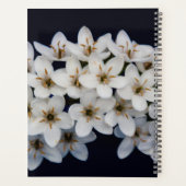 Fleurs de printemps blanches 2024 (Dos)