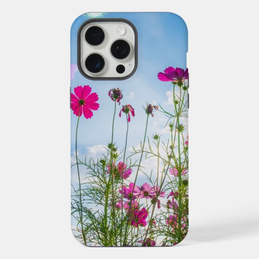fleurs de printemps et papillon (Verso)