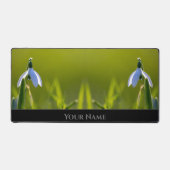 Fleurs de printemps naturelles fleur de fleur de f (Recto)