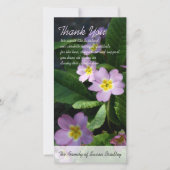 Fleurs de printemps Primula 2 Carte de remerciemen (Devant)