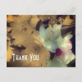 Fleurs de printemps sépia Carte postale de remerci (Devant)