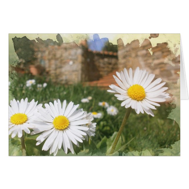 Fleurs de ressort (Devant horizontal)