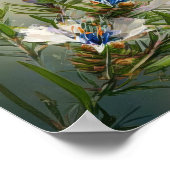 Fleurs de romarin bleu Poster d'impression (Coin)