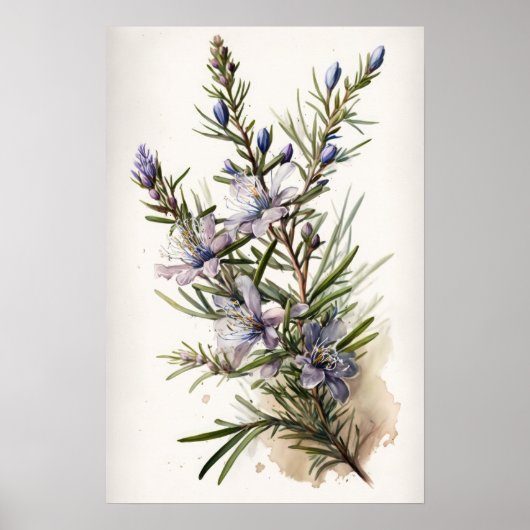 Fleurs de romarin bleu Poster d'impression (Devant)