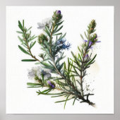 Fleurs de romarin bleu Poster d'impression (Devant)