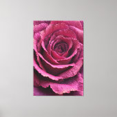 Fleurs de rose rose en gros plan Texture Art mural (Recto)