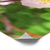 Fleurs de rose sauvage Affiches (Coin)