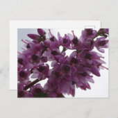 Fleurs de santé Fermer do-it-yourself carte postal (Devant / Derrière)