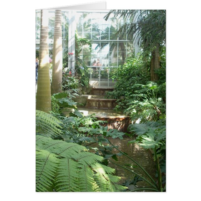 Fleurs de serre Sept (Devant)