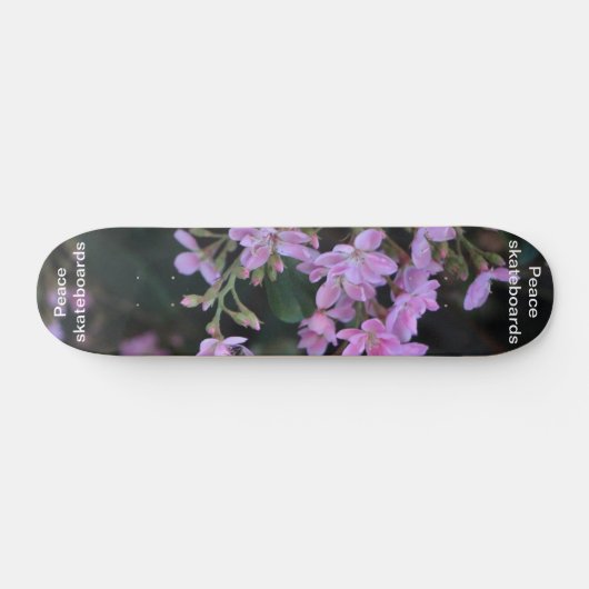 Fleurs de skateboard paradisiaque (Horz)