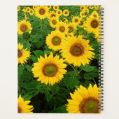 Fleurs de soleil (Dos)