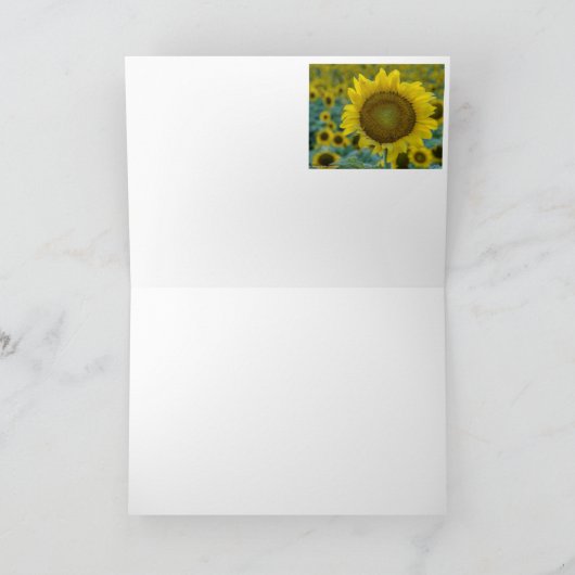 Fleurs de soleil (Intérieur)