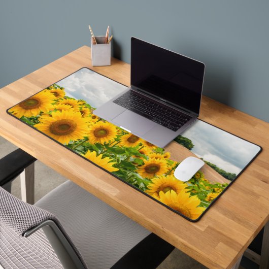 Fleurs de soleil (Bureau 2)