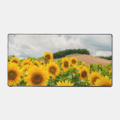 Fleurs de soleil (Recto)