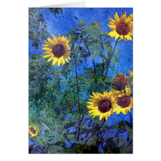 Fleurs de soleil (Devant)