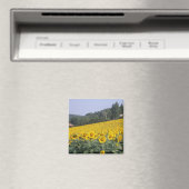 Fleurs de soleil, aimant (In Situ (Lave-vaisselle))