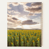 Fleurs de soleil au coucher du soleil (Dos)