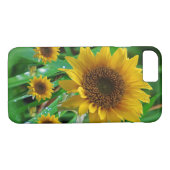 Fleurs de soleil coques iphone (Dos (Horizontal))