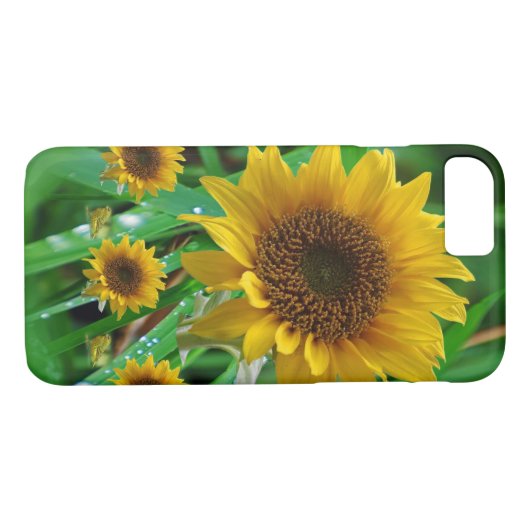Fleurs de soleil coques iphone (Dos (Horizontal))