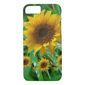 Fleurs de soleil coques iphone (Dos)