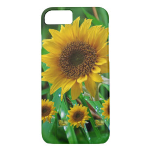 Fleurs de soleil coques iphone
