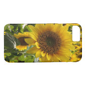 Fleurs de soleil coques iphone (Dos (Horizontal))