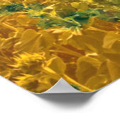 Fleurs de soleil dans un champ - Poster (Coin)