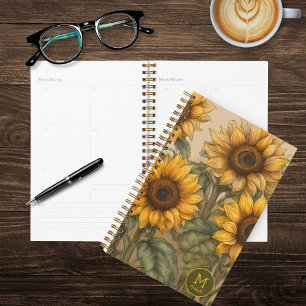 Fleurs de soleil en fleurs