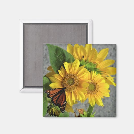 Fleurs de soleil et papillon monarque Aimant frigo (Recto/Verso)