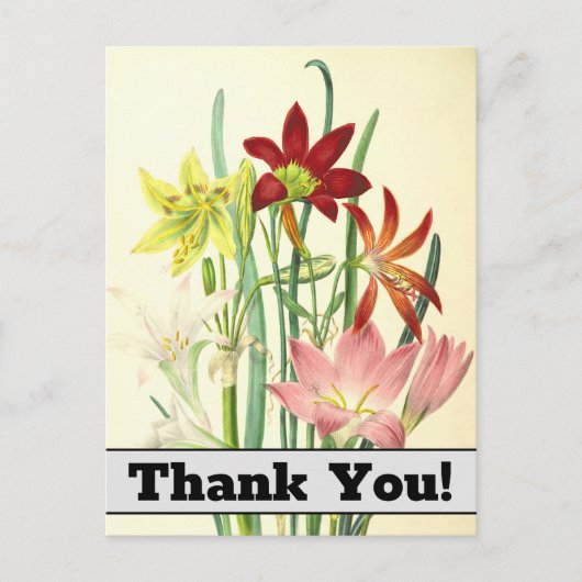 Fleurs de style vintage "Merci !" Carte postale (Devant)