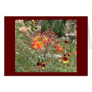 Fleurs de sud-ouest de désert