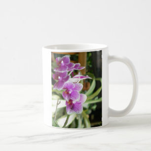 fleurs de tasse de café d'orchidée