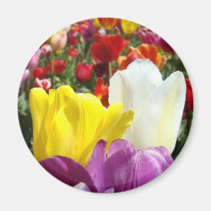 Fleurs de tulipe aimant Coloré Ajoutez votre texte