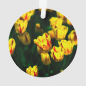 Fleurs de tulipe jaune (dos)