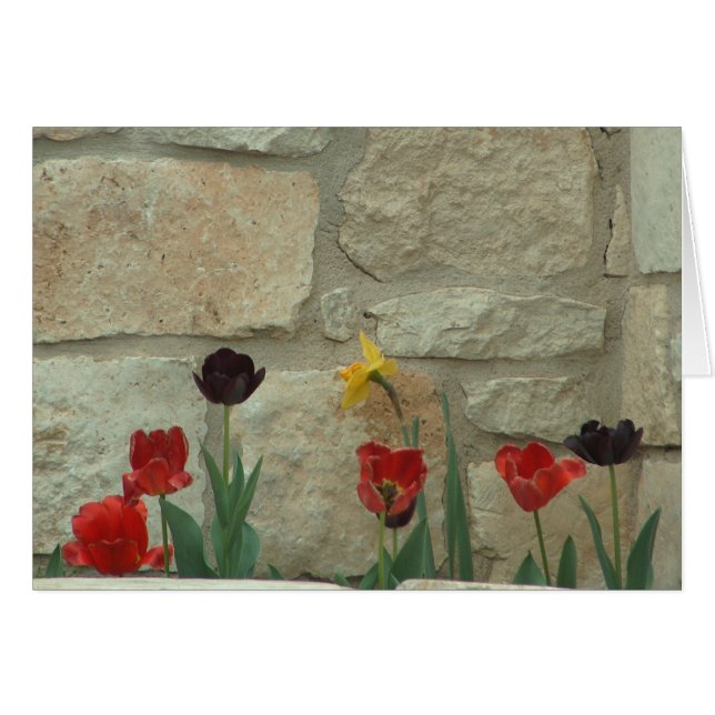 Fleurs de ville (Devant horizontal)