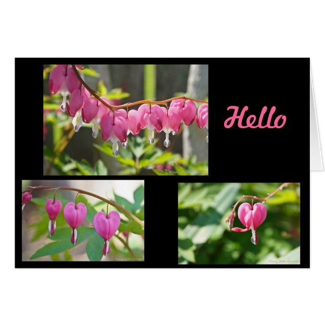 Fleurs des Coeurs Saignants (Devant Horizontal)