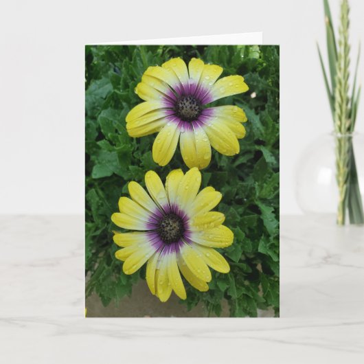 Fleurs d'été carte de voeux (Devant)