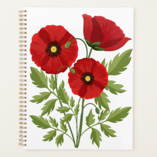 Fleurs d'été joyeuses floraison de pavot