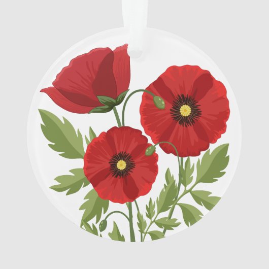 Fleurs d'été joyeuses floraison de pavot (dos)