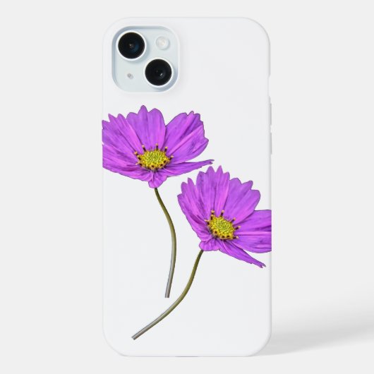 Fleurs Deux Cosmos Violets (Verso)