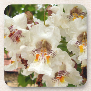 Fleurs d'haricot indien Dessous de verre en plasti