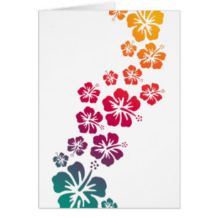 fleurs d'hibiscus colorées