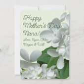 Fleurs d'hortensia blanc Pee Gee Carte de la fête  (Devant)