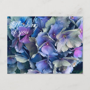 Fleurs d'hortensia bleu carte postale "pensées pou