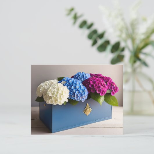 Fleurs d'Hydrangea, Carte postale de poste (Debout devant)
