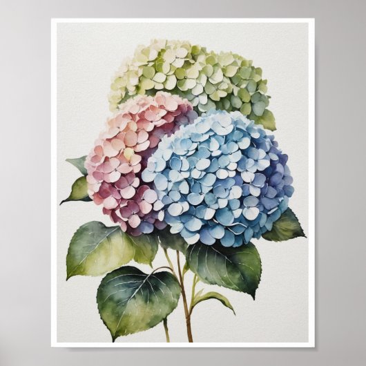 Fleurs d'Hydrangea Poster artisanal Couleur de l'e (Devant)