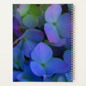 Fleurs d'hydrangeas bleues violet rose bleu (Dos)