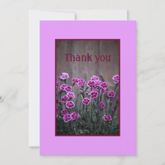 Fleurs Dianthus Roses Rustiques Carte de remerciem (Devant)
